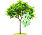 /_next/static/media/tree-big-home.23eb67cc.png